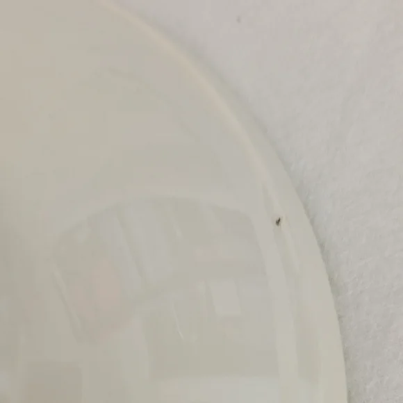 Richard Ginori Cream Bowl with Vegetable Basket Design - Picture 3 of 3